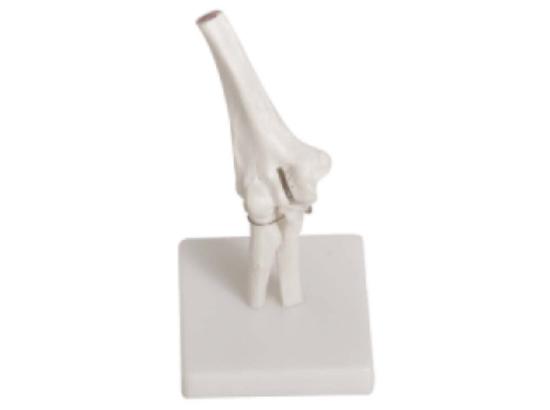 KM/11201-2 Elbow joint model