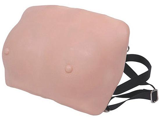KM/14 Breast Examination Model