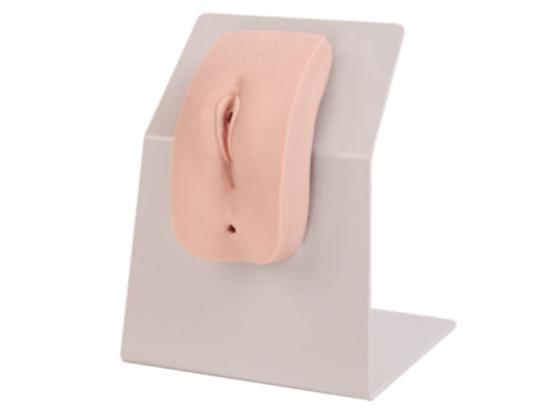 KM/28F Dressed Female Catheterization Model