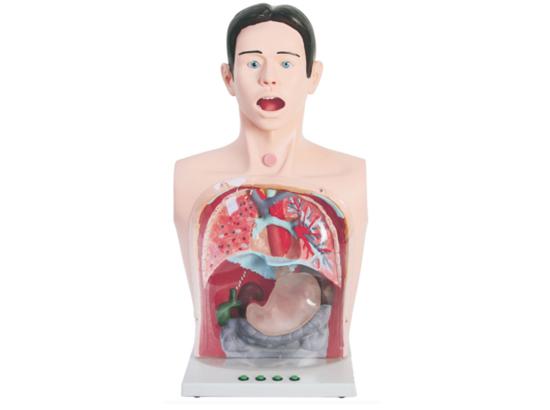 KM/A2 Transparent Gastric Lavage Simulator