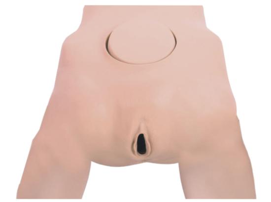 KM/F22 Pelvis measurement simulator